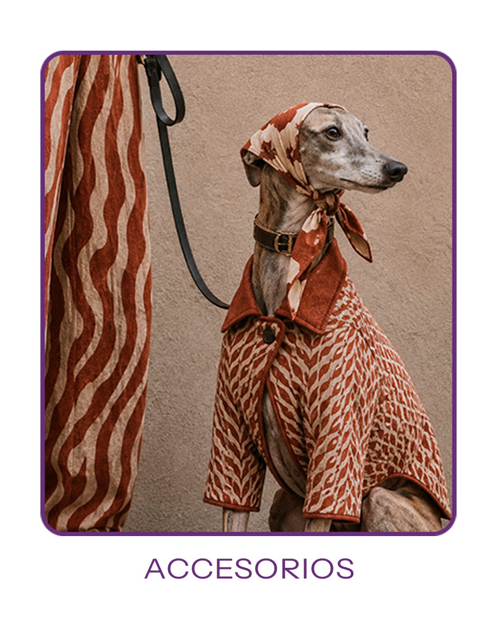 Accesorios para mascotas