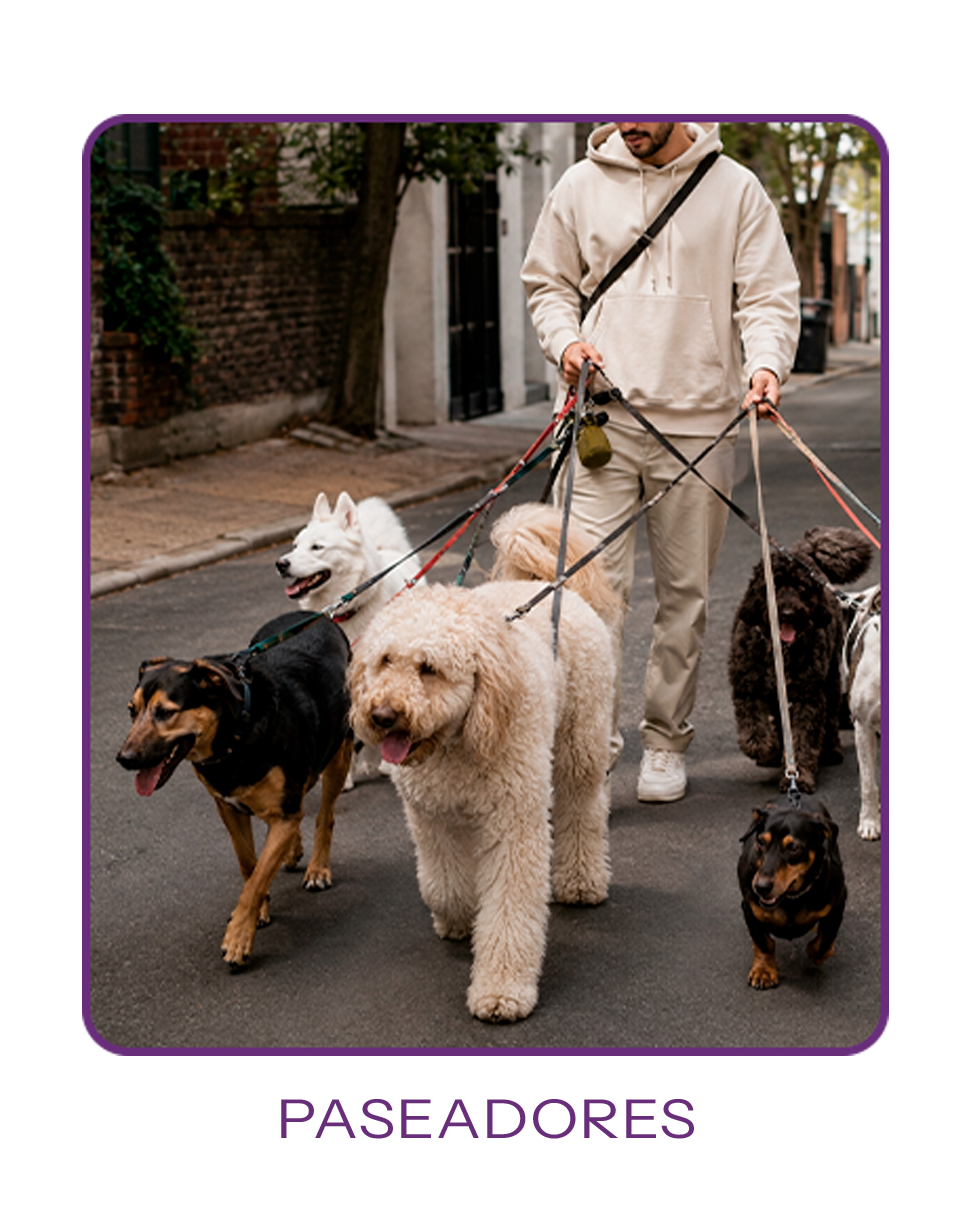 Paseadores de perros